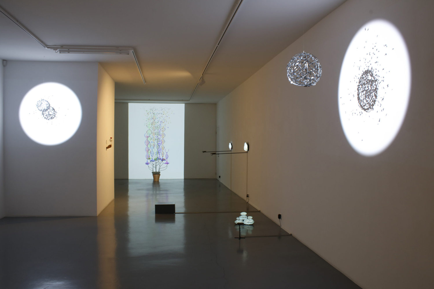 Samuel Rousseau Digitalis solo exhibition at Art Bärtschi & Cie